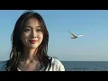 太陽がくれた季節　『飛び出せ!青春』の主題歌