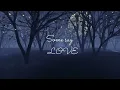 Phosphorescent - Song for Zula (LYRICS VIDEO)