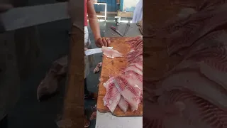 السمك البلطى فيليه دندنها