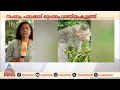 കമ്പിവേലിയിൽ തല കുടുങ്ങിയ കുരങ്ങന് ഒടുവിൽ മോചനം