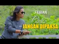 Download Lagu FEBIAN - CINTA JANGAN DIPAKSA