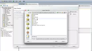 Loading data from a CSV file into Oracle DB using Oracle SQL Developer