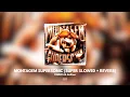 Download Lagu 🧡MONTAGEM SUPERSONIC (SUPER SLOWED + REVERB) [Audio Visualizer]