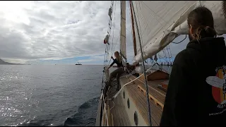 Salt & Tar: Ep.227- Sick Sailing