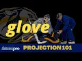 NHL EBUG GOALIE GLOVE PROJECTION 101
