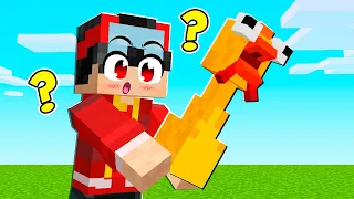 TESTANDO AS ARMAS MAIS ENGRAÇADAS  DO MINECRAFT 😂💥 MINGUADO E BUNNY