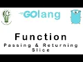 16 Passing Returning Slice To and From a Function Go Tutorial Go Lang Programming
