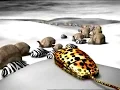 COX Communications TV Commercial 2001