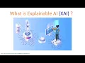 What is Explainable Artificial Intelligence XAI