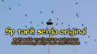 Download SP TARIK SENJA sp terbaik andi sufar/sufar sinar 77 MP3