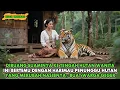 VIRAL !! DI BUANG SUAMINYA KE HUTAN WANITA INI JUSTRU BERTEMU HARIMAU YANG MERUBAH NASIBNYA