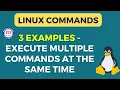 Linux Tutorial Execute Multiple Commands in Linux