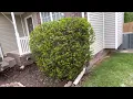 1612 Cedar Springs Circle - Exterior Walk
