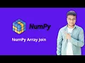 NumPy Array Join