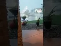 footage of derecho at outback steakhouse scary storm