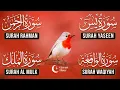 Lagu Surah Yasin | Surah Rahman | Surah Waqia | Surah Mulk | Ashraf Hussain  | Quran Hour | Heartfelt