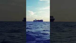 كل ضحكة رايحة مش ناوية الرجوع 