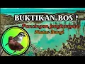 Download Lagu Coba buktikan|TERAPI DAN PANCINGAN, JONGKANGAN MALAS BUNYI