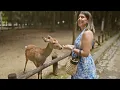 Lagu Visiting Nara Park in Japan | Famous Deer Up Close #travel #japan  #narapark