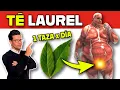 Download Lagu ENFERMEDADES que SANAN con TÉ de LAUREL (CÓMO USARLO) ‼️