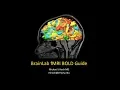 Functional MRI fMRI Brainlab Processing Guide