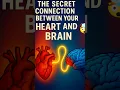 Download Lagu Why Your Heart Has a Mind of Its Own brain