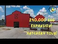 Cackle Hatchery s 240 000-Egg Expansion Take the Tour