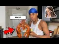 CATCH AND COOK GIANT 10 POUND LOBSTER