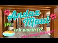 BEST LUXURY RESORT IN MAUI ANDAZ MAUI IN WAILEA Is it worth it Why you should choose the Andaz
