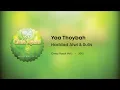 Download Lagu Haddad Alwi \u0026 Sulis - Yaa Thoybah (Lirik Video)