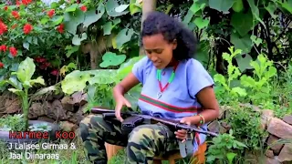 Sirba Wbo Haaraya 2024 Jaal Diinaraas Fi Jaal Lalisee Girmaa Qabsoodhaafiin Bahee Daggalaan Jiraa 