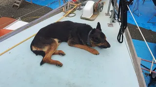 This Is the end for Dexter