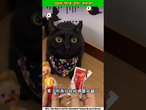 Billor Doll drawing Korloš± #shorts #funny #cat #ytshorts