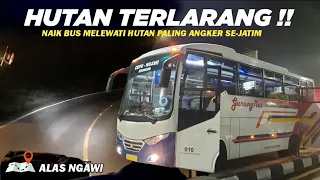 uji nyali naik bus ini jam 3 pagi nekat naik bus ditengah hutan angker trip gunung mas