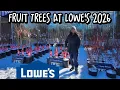 Fruit Trees Have Arrived At Lowe s
