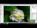 WORKING WITH MULTIPLE FORMS USING VISUAL BASICS