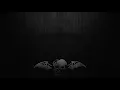 Download Lagu Lyrics Avenged Sevenfold - M.I.A ( FULL HD )