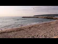 4K 1 Hour Sea Sounds:  Seagulls and Waves at Morning Beach