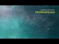 Neighborhood Libraries - Phosphorescence (Official Audio)