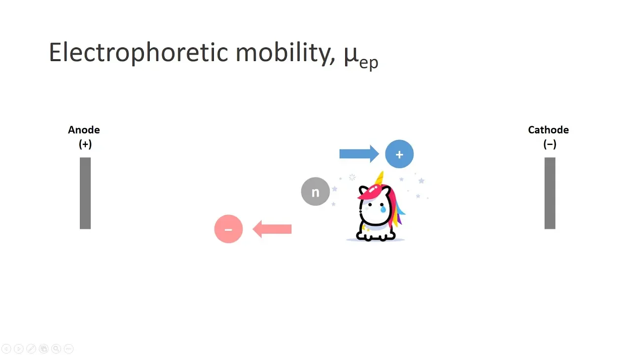 Capillary Electrophoresis (Part 3): Electrophoretic mobility