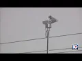 South Florida fighting back against fines from red light cameras