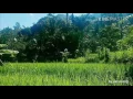 Download Lagu Iraha teupang