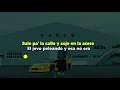 Bichiyal - Bad Bunny Feat Yaviah (Karaoke) | YHLQMDLG