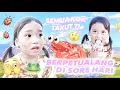 Download Lagu JALAN JALAM SORE CARI ZARIGANI BEST