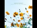 Gabriele Bagnati - Rimsky-Korsakov: The Flight of the Bumblebee