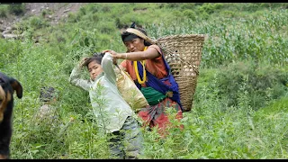 I am heading home after picking pumpkins from the village field.Ruralvillagelife