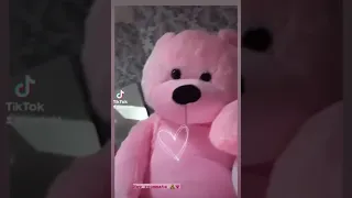 Taksass Valentine دب الحب Surprise 