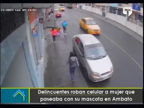 Delincuentes roban celular a mujer que paseaba con su mascota en Ambato