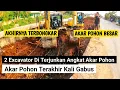 Download Lagu 2 excavator di terjunkan untuk angkat akar pohon besar terakhir, jalan raya kali gabus tambun bekasi