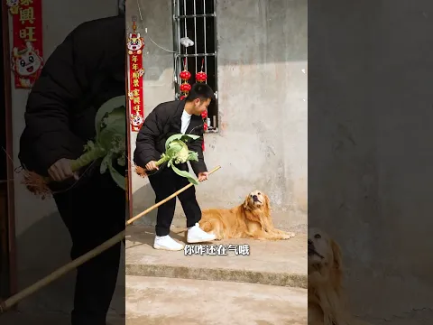 每天都在壹邊崩潰，壹邊自愈。帶娃兒太難喽